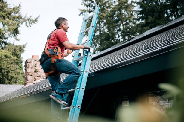 Best Roof Moss and Algae Removal  in Tri Lakes, IN
